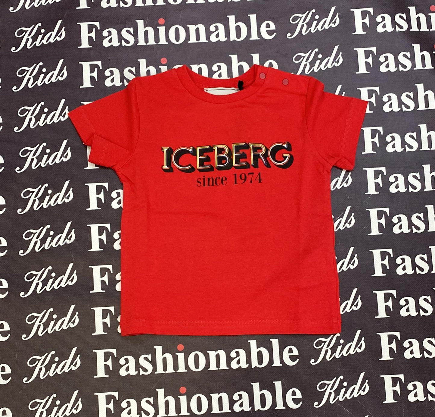 T-SHIRT ICEBERG