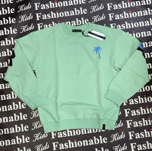 FELPA DANIELE ALESSANDRINI